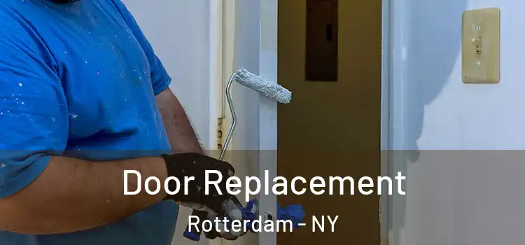  Door Replacement Rotterdam - NY