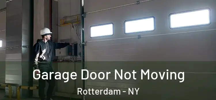  Garage Door Not Moving Rotterdam - NY