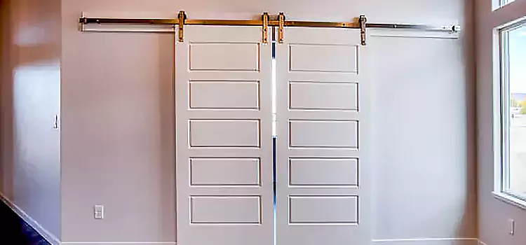 Glass Barn Door with Installation Hardware Kit Rotterdam