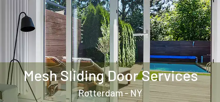  Mesh Sliding Door Services Rotterdam - NY